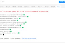 wordpress外链图片本地化插件nicen-localize-image PRO v2.1.9版