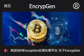 PC版微盘外汇系统USDT充值九种语言