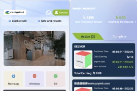 海外Magic投资理财系统源码