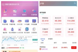 香港股票源码/大宗交易与新股申购系统源码（Vue前端+Java后端）带视频搭建教程