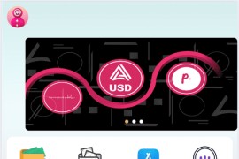 USD虚拟币产品共享投资理财系统源码