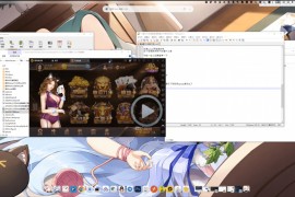 星力10代搭建架设视频教程