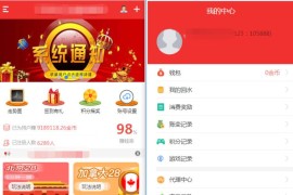 NET开发的幸运28程序源码下载,无需授权带搭建视频教程