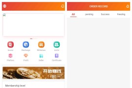 海外多语言抢单系统源码/thinkphp/打针做单/USDT充值/带搭建教程