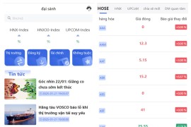 VUE越南股票源码/带开源工程/带搭建教程