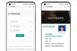 TP开发证书查询系统源码 支持自适应多端