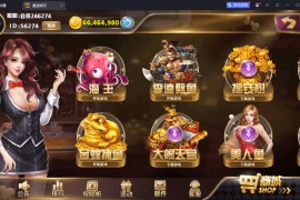 独家首发大富豪二开星途娱乐全套+安卓苹果服务器运营打包版本